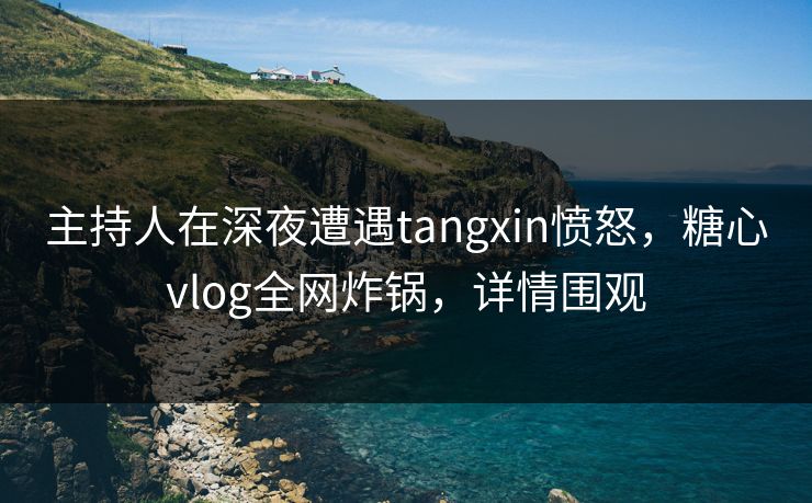 主持人在深夜遭遇tangxin愤怒，糖心vlog全网炸锅，详情围观