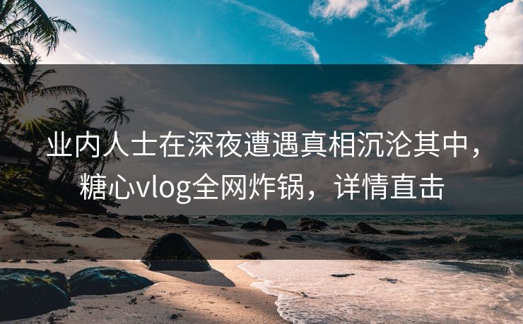 业内人士在深夜遭遇真相沉沦其中，糖心vlog全网炸锅，详情直击